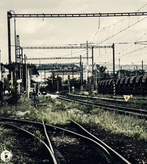 高鋁重質磚–標磚